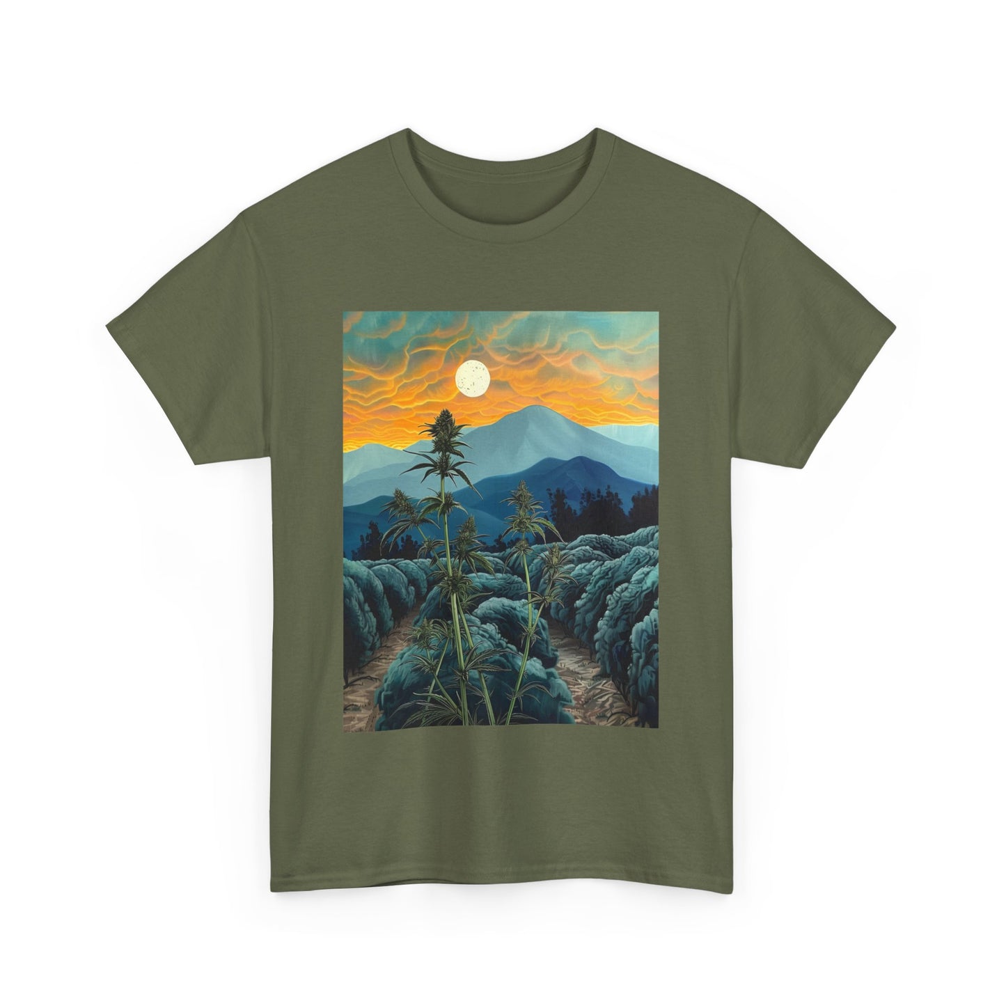 Field Series 09 - Image on Front