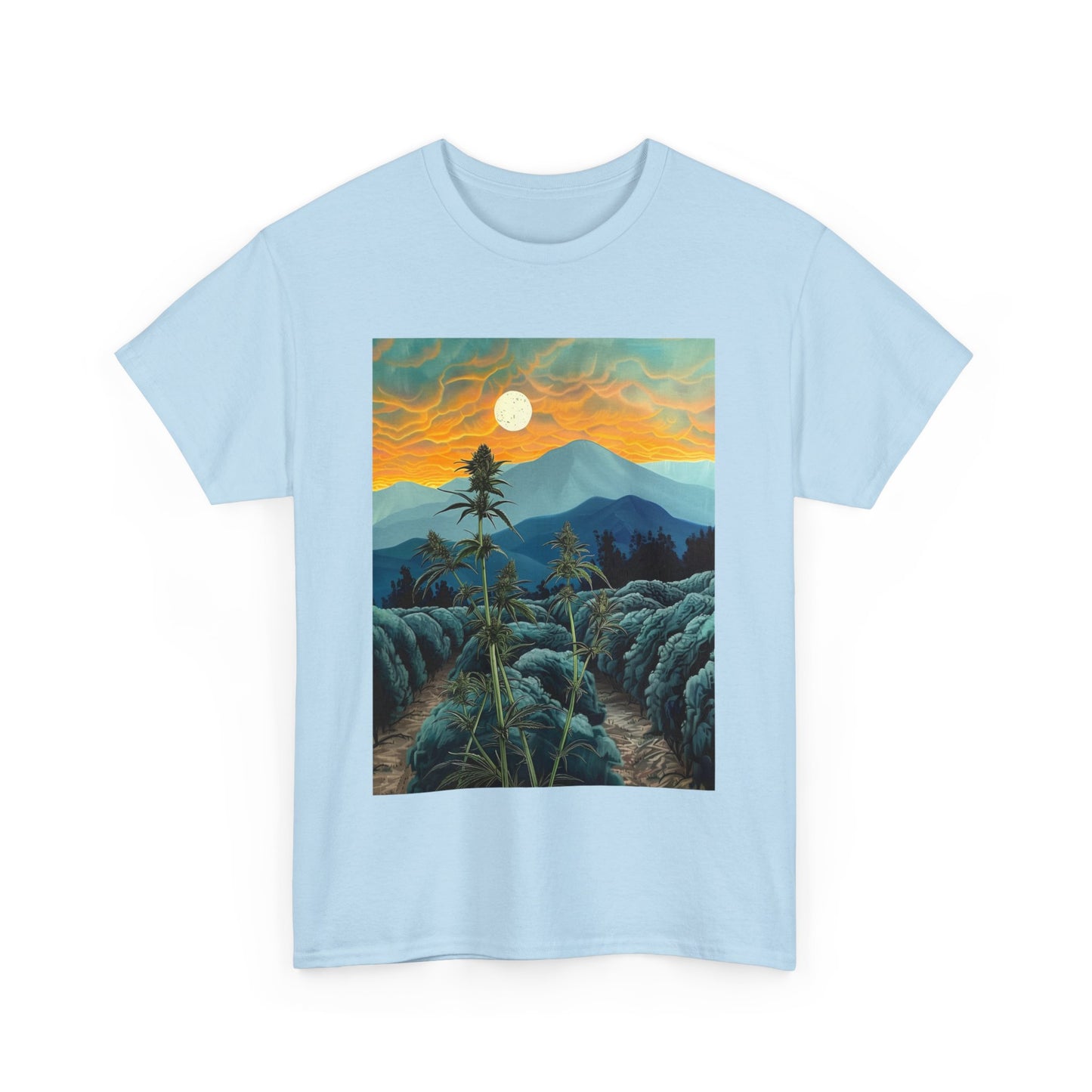 Field Series 09 - Image on Front